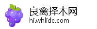 良禽择木网